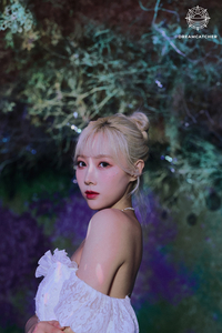 handong